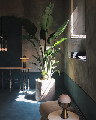 Alabaster Comet Table Lamp Ledecoo