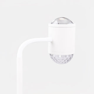 Ambient Floor Lamp Ledecoo