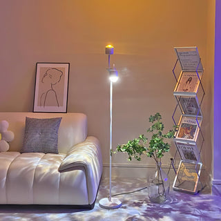 Ambient Floor Lamp Ledecoo