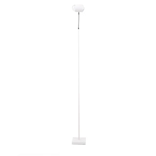Ambient Floor Lamp Ledecoo