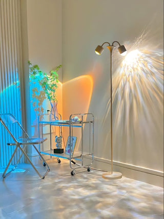 Ambient Floor Lamp Ledecoo