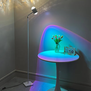 Ambient Floor Lamp Ledecoo