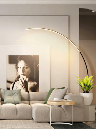 Arc Floor Lamp Ledecoo