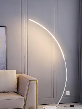 Arc Floor Lamp Ledecoo
