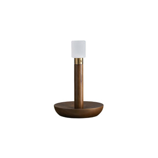 Fire Stick Table Lamp Ledecoo