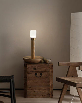 Fire Stick Table Lamp Ledecoo