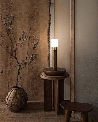 Fire Stick Table Lamp Ledecoo