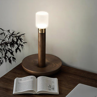Fire Stick Table Lamp Ledecoo