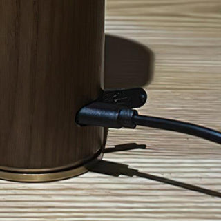 Fire Stick Table Lamp Ledecoo