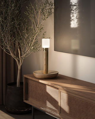 Fire Stick Table Lamp Ledecoo