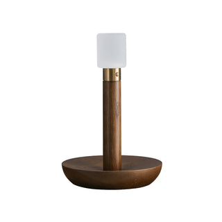 Fire Stick Table Lamp Ledecoo