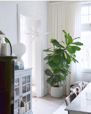 Hot Air Balloon Table Lamp Ledecoo