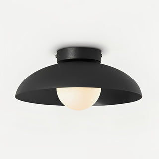 Harper Glass Dome Ceiling Lamp Arkstarhome