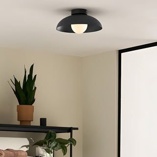 Harper Glass Dome Ceiling Lamp Arkstarhome
