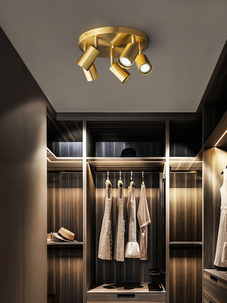 Hugo Hotspot Ceiling Light Arkstarhome