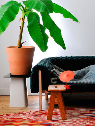 Ile Table Lamp Ledecoo