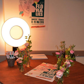 Iris Table Lamp Ledecoo