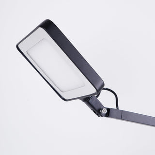 Edge Table Lamp Ledecoo