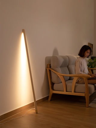 Line Assist Ambience Floor Lamp Ledecoo