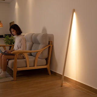 Line Assist Ambience Floor Lamp Ledecoo