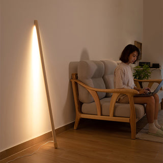 Line Assist Ambience Floor Lamp Ledecoo