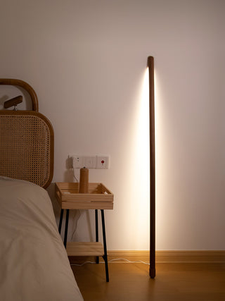 Line Assist Ambience Floor Lamp Ledecoo
