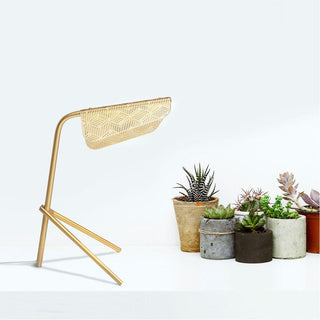 Mediterranea Table Lamp Ledecoo