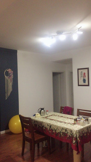 Track Light Ceiling Light Arkstarhome
