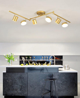 Track Light Ceiling Light Arkstarhome