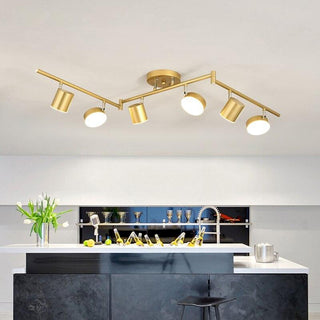 Track Light Ceiling Light Arkstarhome