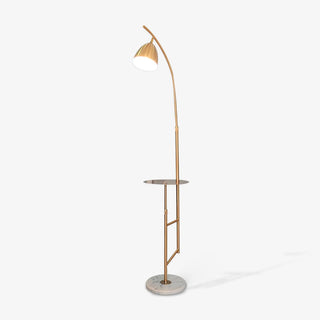 Rani Floor Lamp Ledecoo