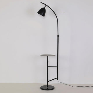 Rani Floor Lamp Ledecoo