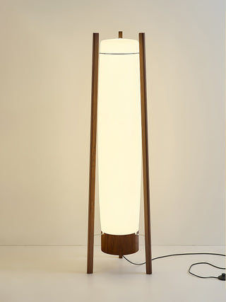 Side LED Floor Lamp Ledecoo