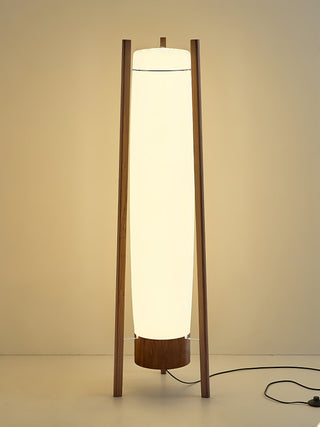 Side LED Floor Lamp Ledecoo