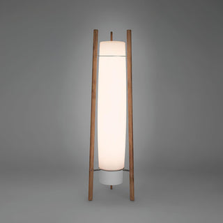 Side LED Floor Lamp Ledecoo