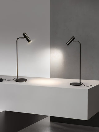 Torris Table Lamp Ledecoo