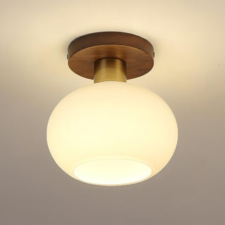 White Shell Ceiling Lamp Arkstarhome