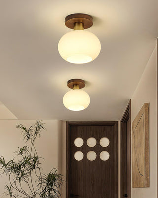 White Shell Ceiling Lamp Arkstarhome