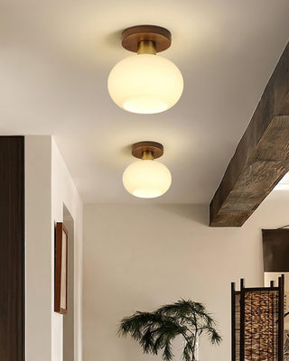 White Shell Ceiling Lamp Arkstarhome