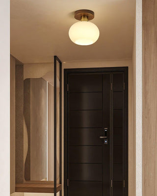 White Shell Ceiling Lamp Arkstarhome