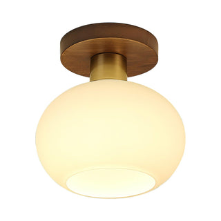 White Shell Ceiling Lamp Arkstarhome