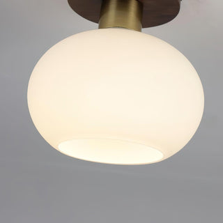 White Shell Ceiling Lamp Arkstarhome