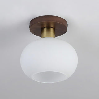 White Shell Ceiling Lamp Arkstarhome